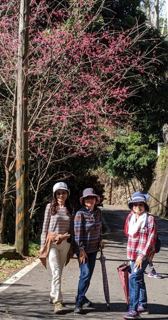 大山背走走趣