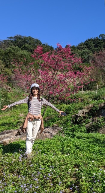 大山背走走趣