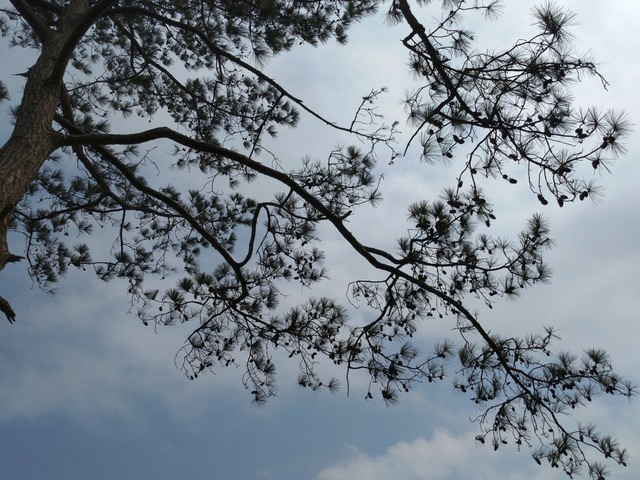 峨眉、北埔半日遊