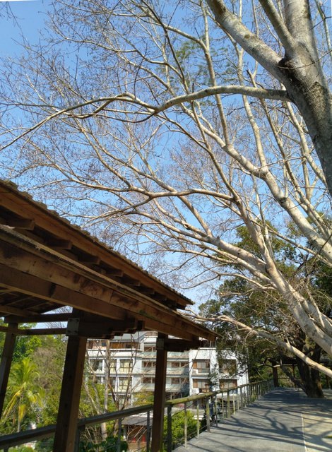 峨眉、北埔半日遊