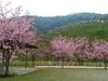 IMG_20200224_143739.jpg