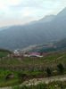 IMG_20200224_145539.jpg