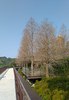 IMG_20200219_093136.jpg