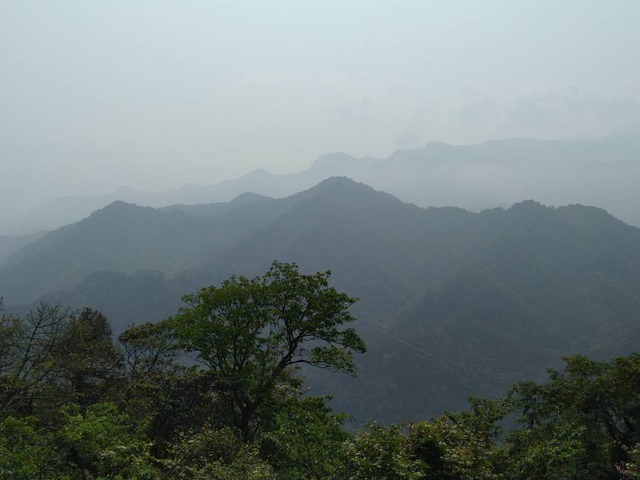 桃園登山、賞花去 - 第12張圖 桃園登山、賞花去