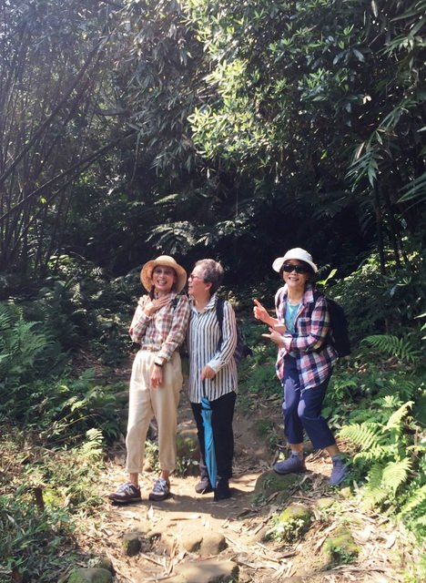 桃園登山、賞花去 - 第33張圖 桃園登山、賞花去