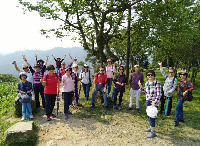 桃園登山、賞花去 - 第1張圖 桃園登山、賞花去