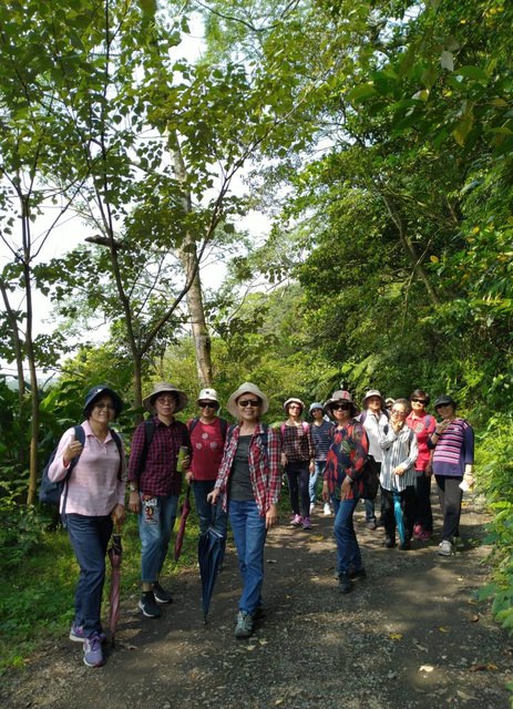 桃園登山、賞花去 - 第19張圖 桃園登山、賞花去