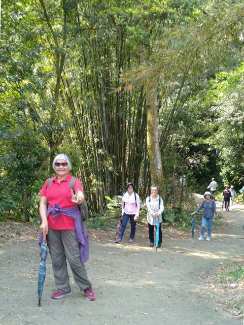 桃園登山、賞花去 - 第9張圖 桃園登山、賞花去