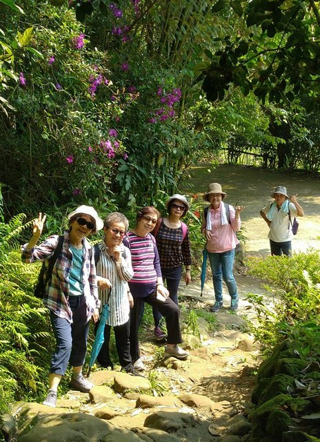 桃園登山、賞花去 - 第28張圖 桃園登山、賞花去