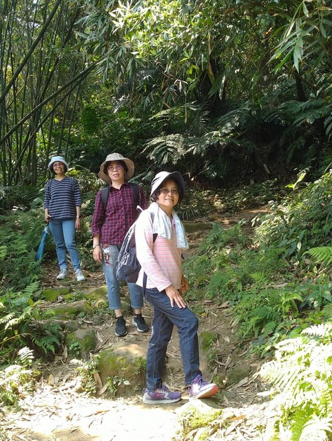 桃園登山、賞花去 - 第29張圖 桃園登山、賞花去