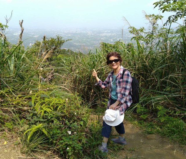 桃園登山、賞花去 - 第37張圖 桃園登山、賞花去