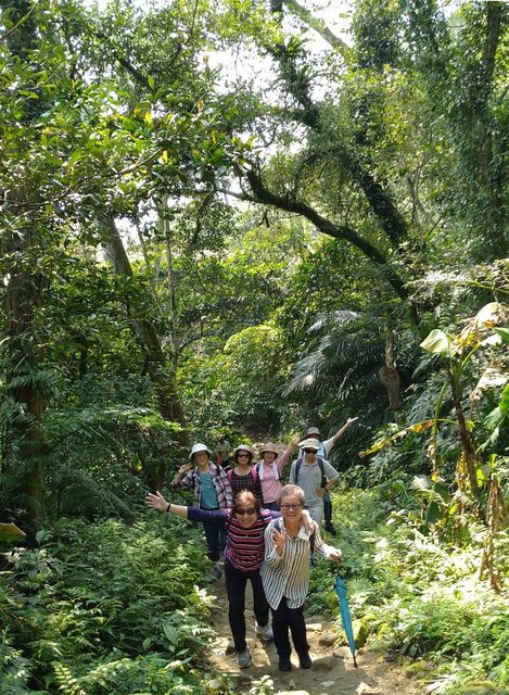 桃園登山、賞花去 - 第31張圖 桃園登山、賞花去