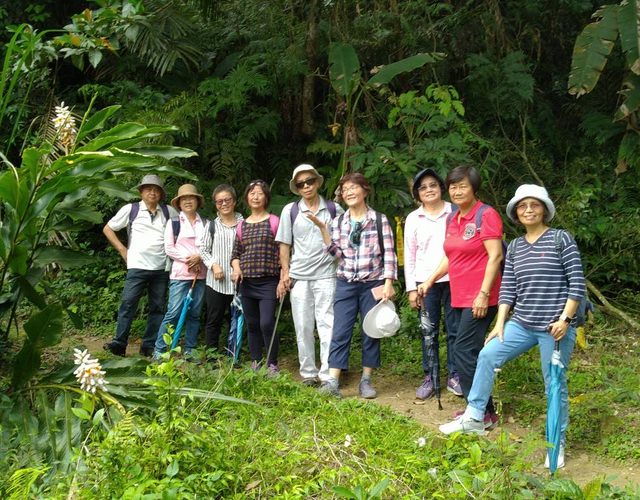 桃園登山、賞花去 - 第56張圖 桃園登山、賞花去