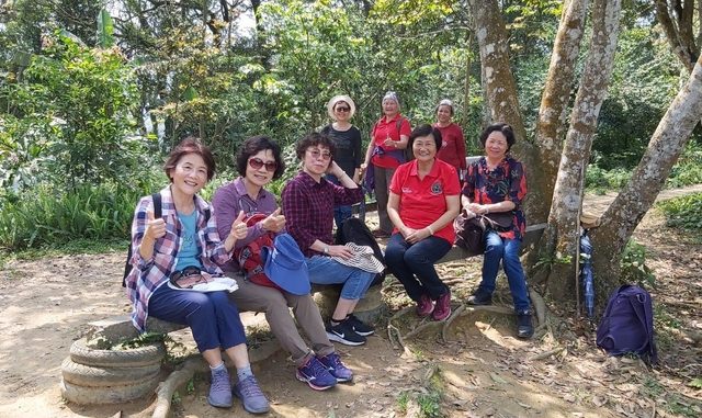 桃園登山、賞花去 - 第76張圖 桃園登山、賞花去