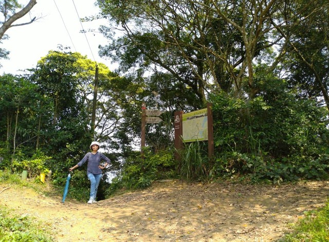 桃園登山、賞花去 - 第34張圖 桃園登山、賞花去
