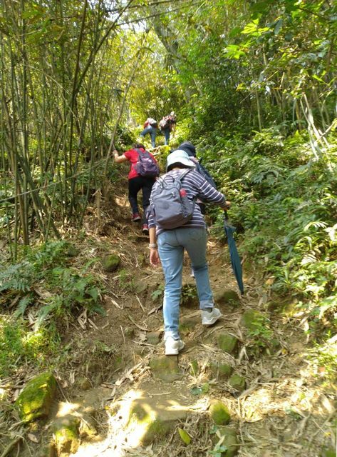 桃園登山、賞花去 - 第36張圖 桃園登山、賞花去