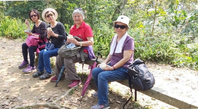 桃園登山、賞花去 - 第52張圖 桃園登山、賞花去
