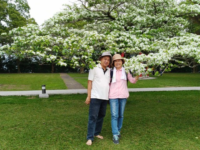 桃園登山、賞花去 - 第62張圖 桃園登山、賞花去