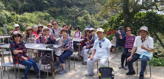 桃園登山、賞花去 - 第23張圖 桃園登山、賞花去