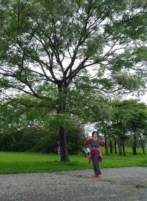 河濱公園踏青趣 - 第19張圖 河濱公園踏青趣