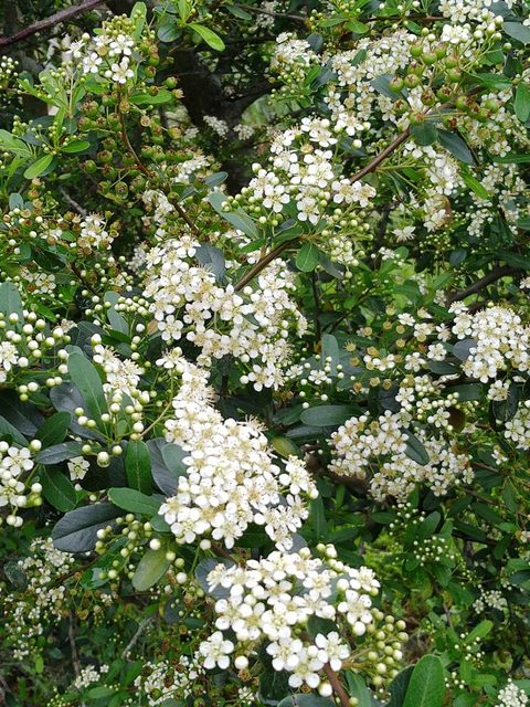 河濱公園踏青趣 - 第22張圖 河濱公園踏青趣