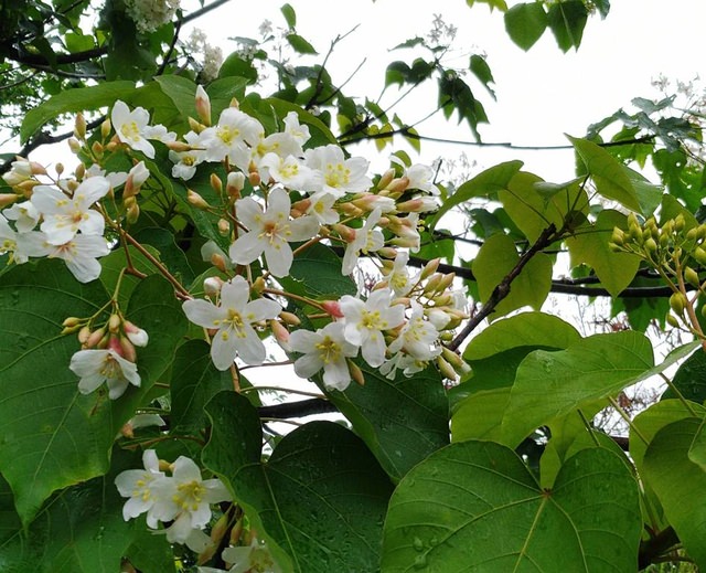 河濱公園踏青趣 - 第21張圖 河濱公園踏青趣