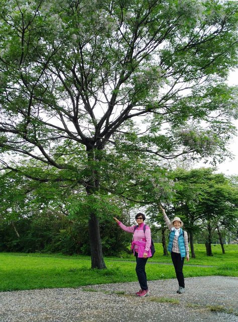 河濱公園踏青趣 - 第16張圖 河濱公園踏青趣
