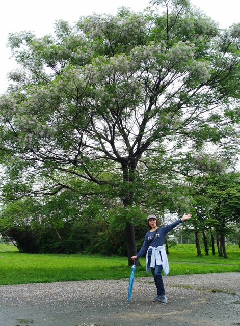 河濱公園踏青趣 - 第18張圖 河濱公園踏青趣