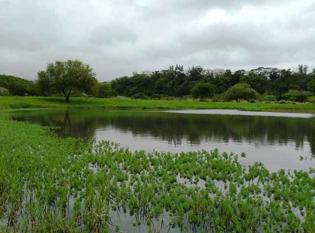 河濱公園踏青趣 - 第11張圖 河濱公園踏青趣