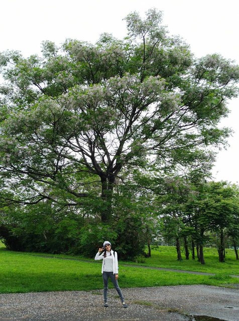 河濱公園踏青趣 - 第14張圖 河濱公園踏青趣