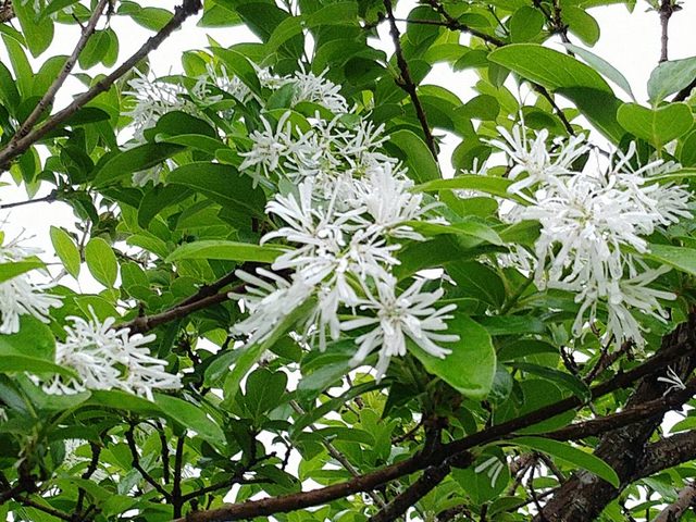 河濱公園踏青趣 - 第20張圖 河濱公園踏青趣