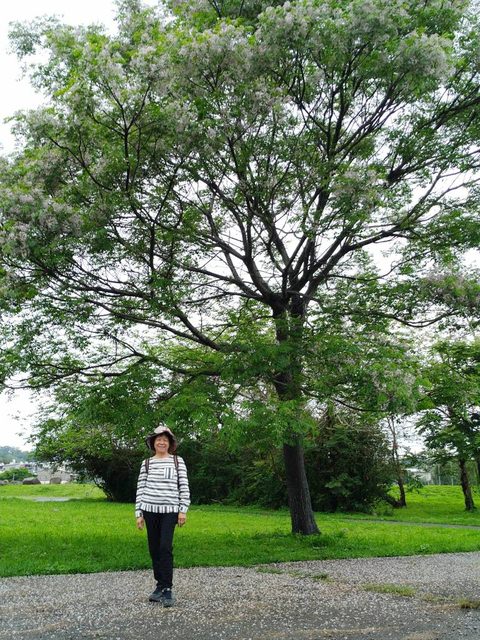 河濱公園踏青趣 - 第15張圖 河濱公園踏青趣