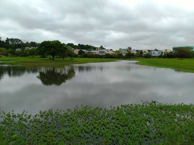 河濱公園踏青趣 - 第31張圖 河濱公園踏青趣