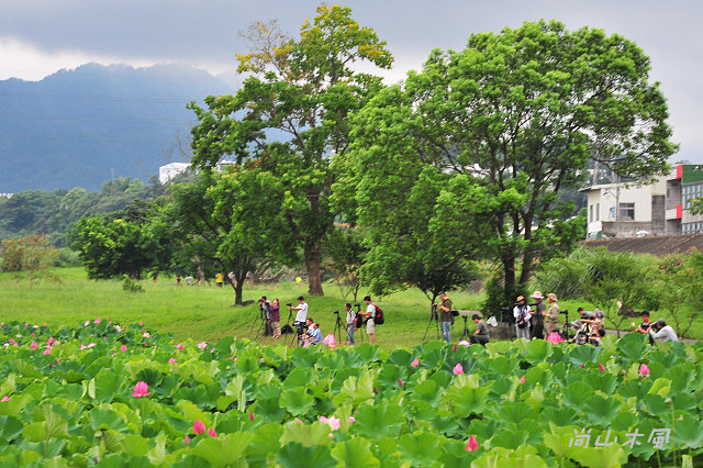 河濱公園踏青趣part3