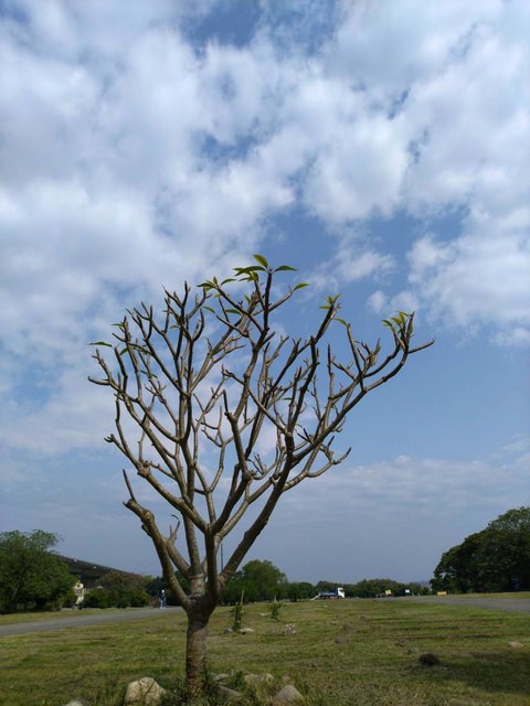 河濱公園踏青趣part3