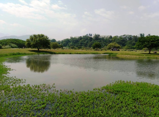 河濱公園踏青趣part3