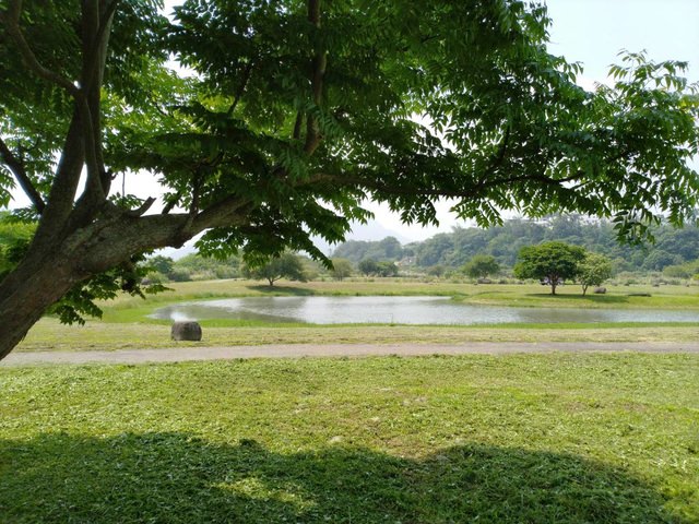 河濱公園踏青趣part3