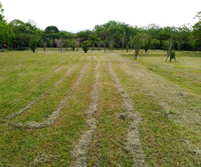 河濱公園踏青趣part3