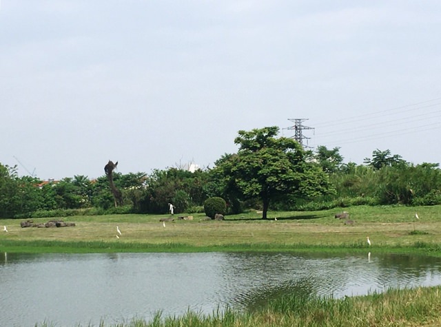 河濱公園踏青趣part3