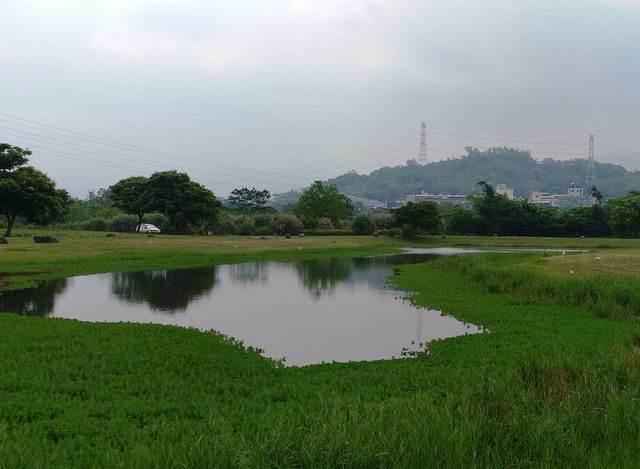 河濱公園踏青趣part3