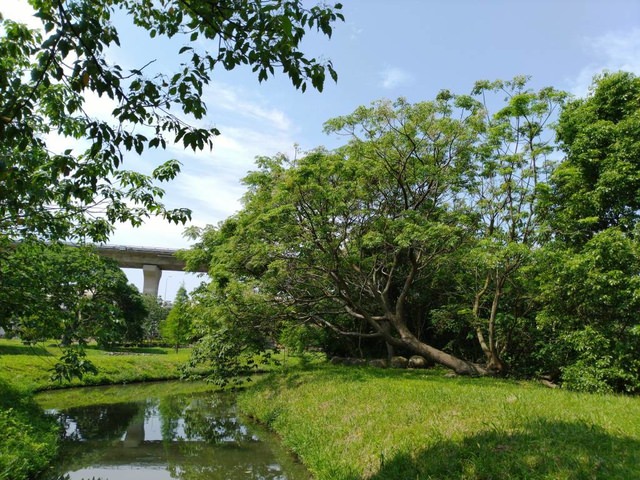 河濱公園踏青趣Part4