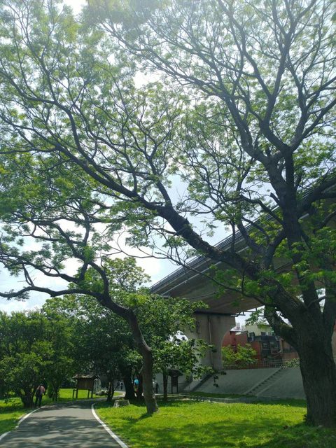 河濱公園踏青趣Part4