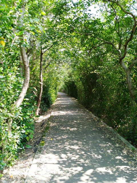 河濱公園踏青趣Part4