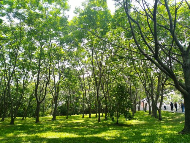河濱公園踏青趣Part4