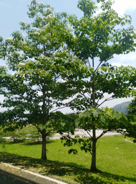 河濱公園踏青趣Part4