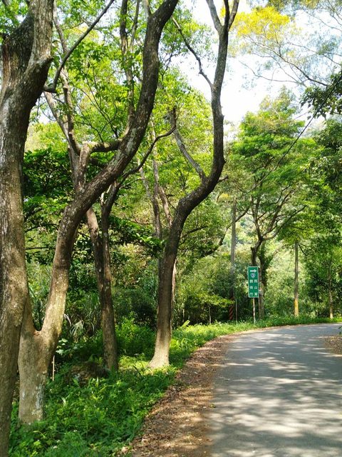 內灣東窩步道遠足去