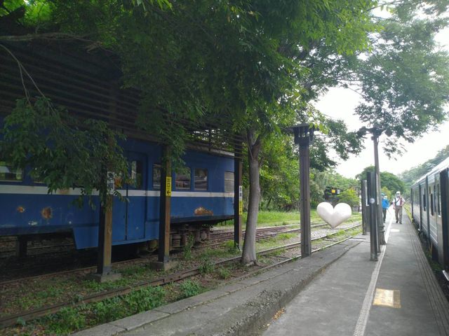 內灣東窩步道遠足去