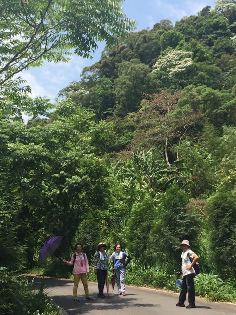 內灣東窩步道遠足去
