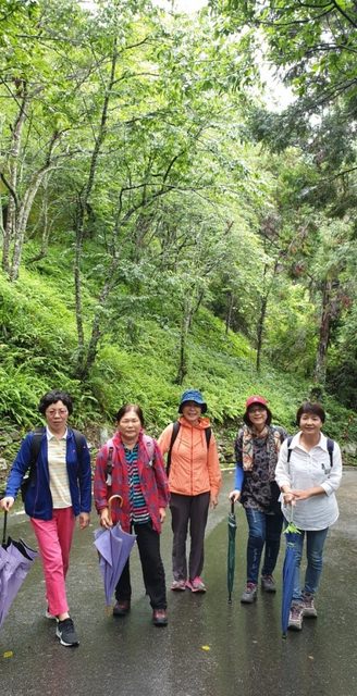 八仙山、谷關一日遊（2）八仙山走走趣（一）