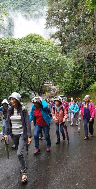 八仙山、谷關一日遊（2）八仙山走走趣（一）